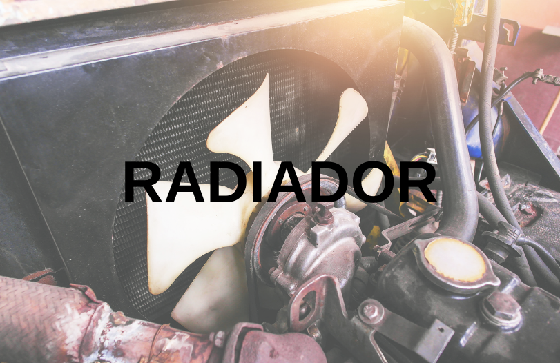 Accesorios y repuestos automotrices